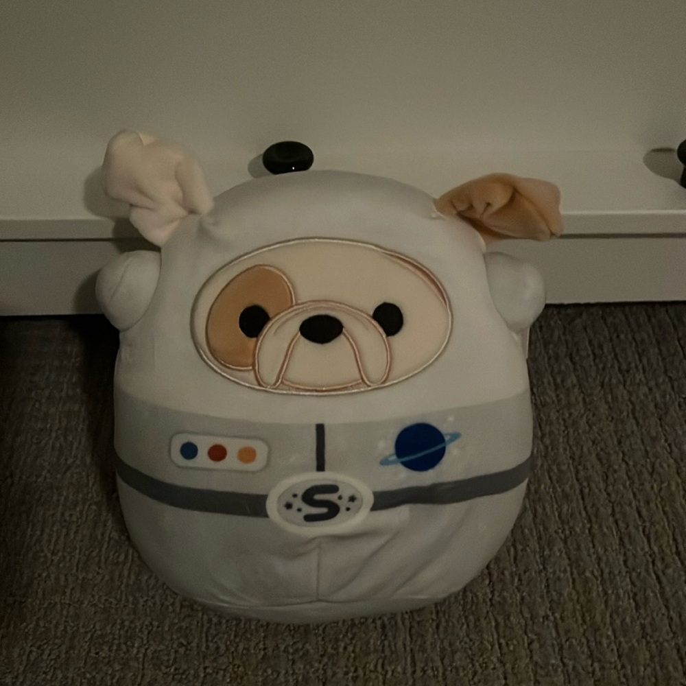 Brock squishmellow